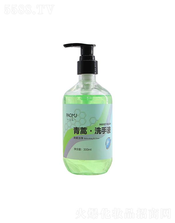 սƼ޹˾ս   ĽϴҺ   º   300ml