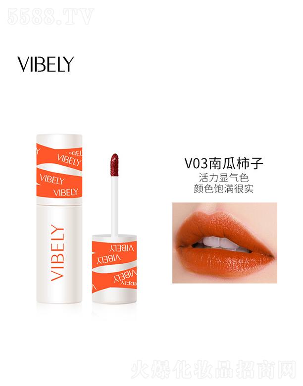 ױƷ޹˾VIBELY˿޴V03Ϲ