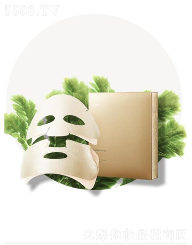 ̫ƽó޹˾ŵ̼Ĥ ٽ
