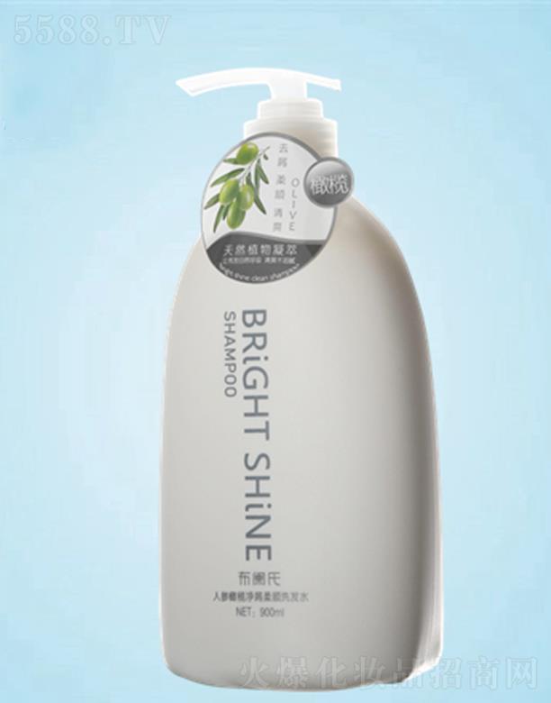 ׿ʵҵ޹˾BRiGHT SHiNEм˳ϴˮ  900ML