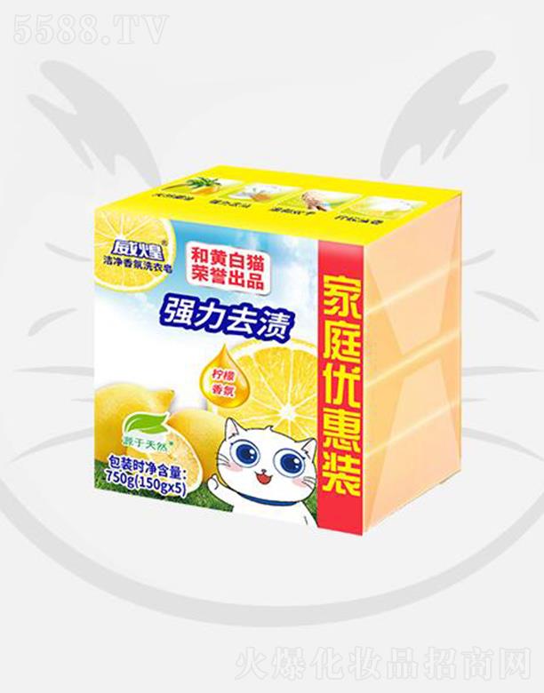 Ϻͻưè޹˾ͽྻϴˬʣ750gȥ޲