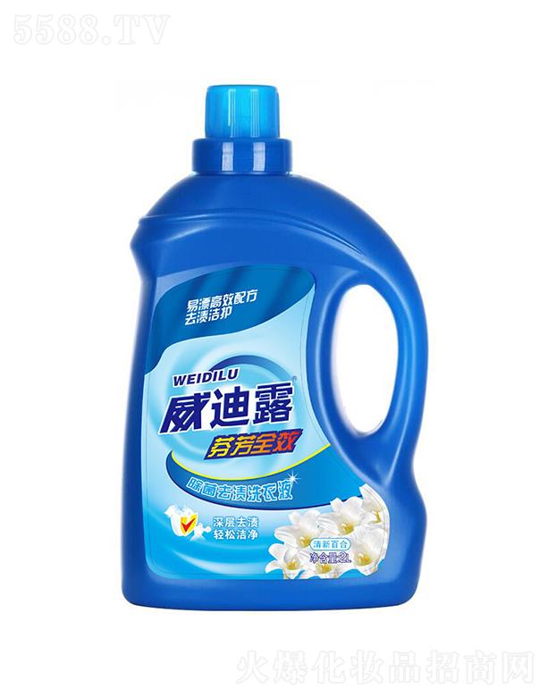ѩƼ޹˾¶˳ϴҺ  2L  °ٺ