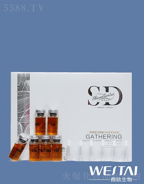 ΢Ƽ޹˾ʫά콺ԭԭҺ 10ml/֧X6֧ӻƤϻ
