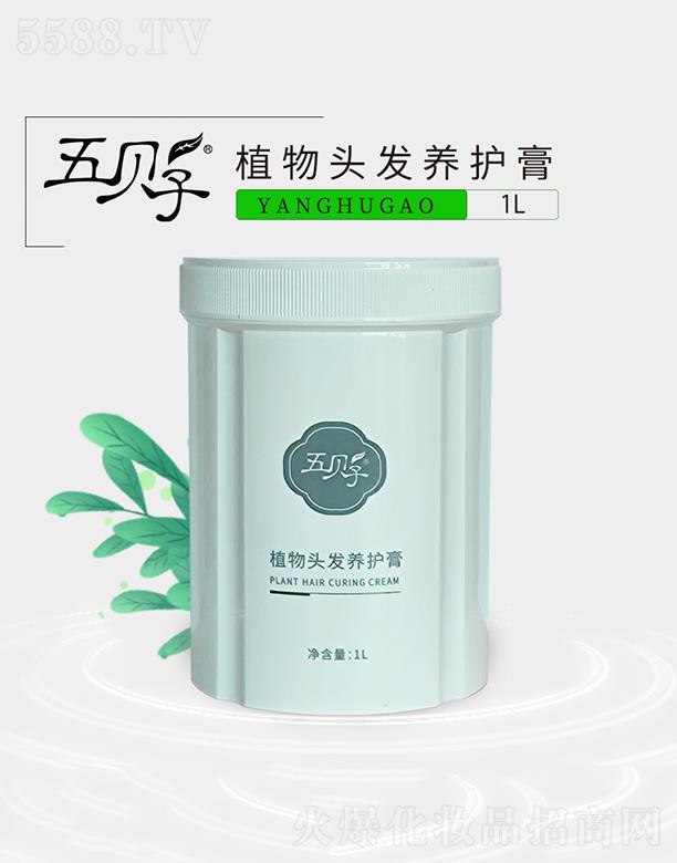 Ϻ屴ӻױƷ޹˾屴ֲͷ 1L˳ůͷƤ