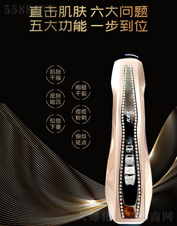 麣ߵػױƷ޹˾ߵض๦ܽԭ