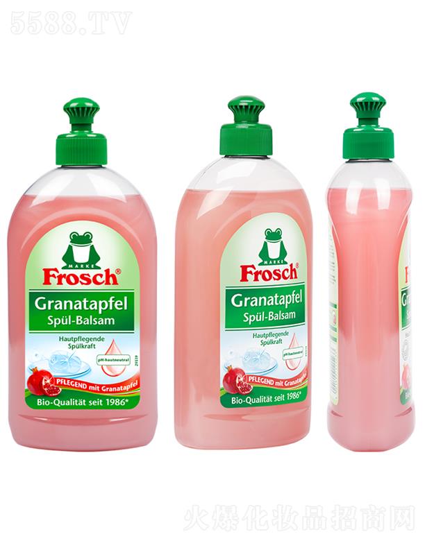 麣ó޹˾Frosch˿ ʯŨ;ϴ¶ 500ml˫ܸ