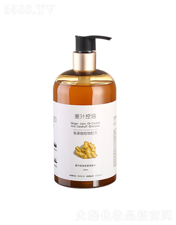 ֮Ƽ޹˾-֭ȥмϴˮ 500ML