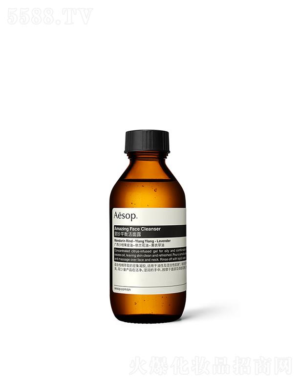 ˹Ϻó޹˾ƽ¶ 100mL