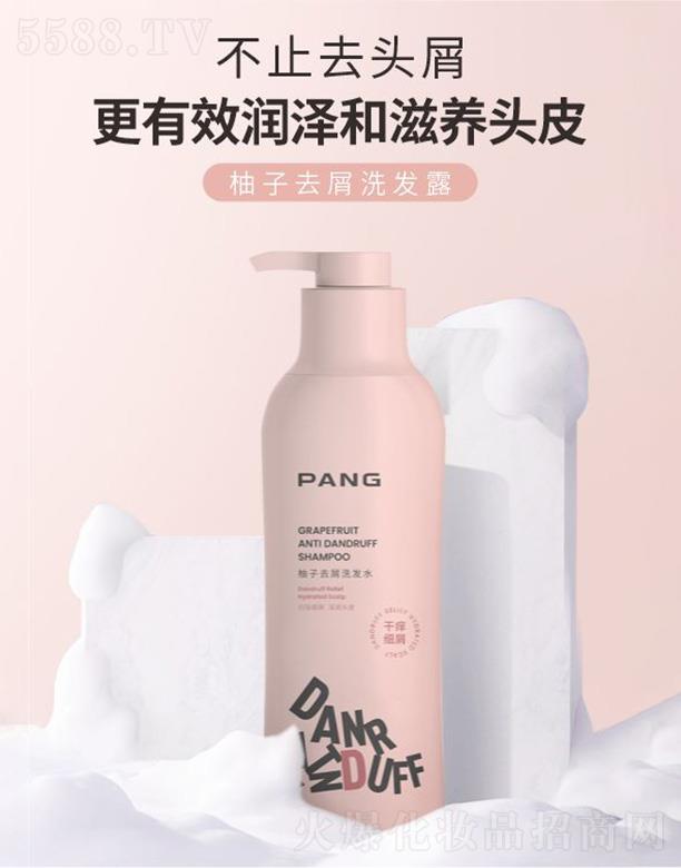 ϣݣʵҵչ޹˾PANGȥмϴ¶ϸм