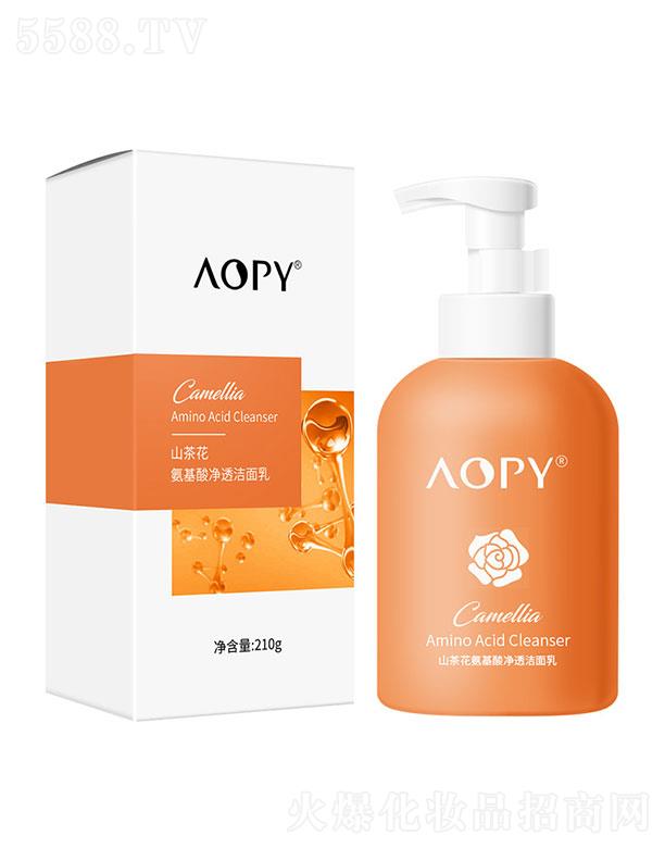 ٻ̻ױƷ޹˾AOPYɽ軨210g