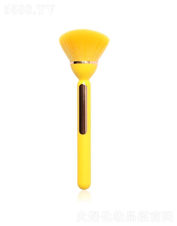 ݸŻױþ޹˾űЯ¿ɢˢ ɫ