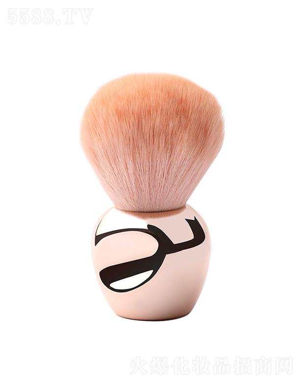 ݸŻױþ޹˾׷۳ˢ ɫ