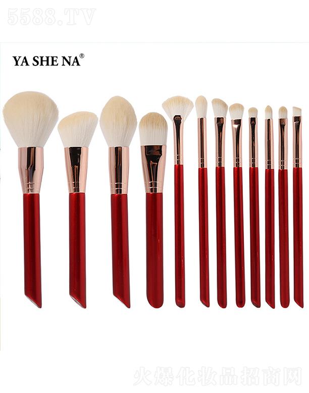 ݸ˹Ȼױ޹˾˹Ⱥɫ12֧ľױˢ
