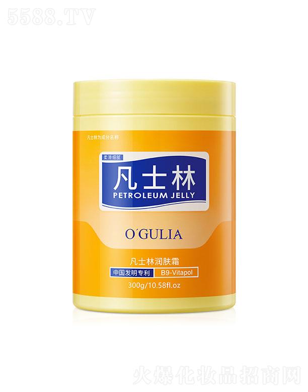 濻ױƷ޹˾櫷ʿ˪