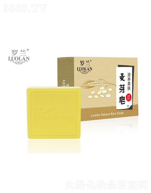̩Ƽʵҵ޹˾ѿ( 100g )