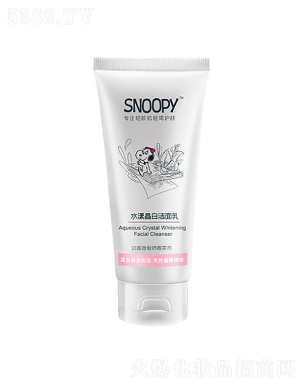 麣ȻױƷ޹˾SNOOPYˮ׽