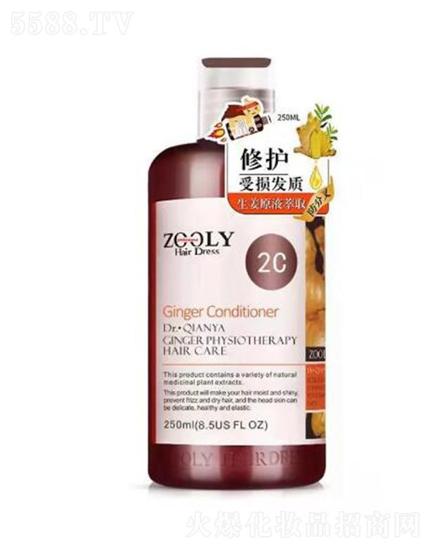 ɶ׿Ϣѯ޹˾ZOOLY-׿ʿٻϽƻ