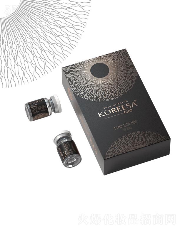 Ƽ޹˾KOREESA׷