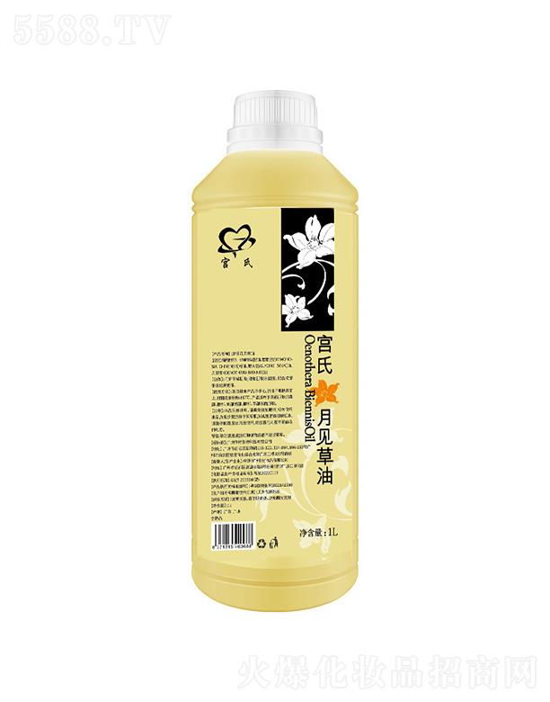 ݴƼ޹˾¼ 1L