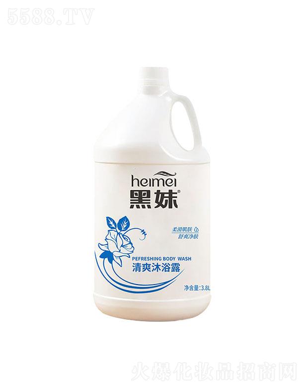 ʿջ޹˾ˬԡ¶ 3.8L