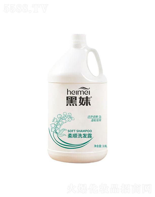 ʿջ޹˾˳ϴ¶ 3.8L