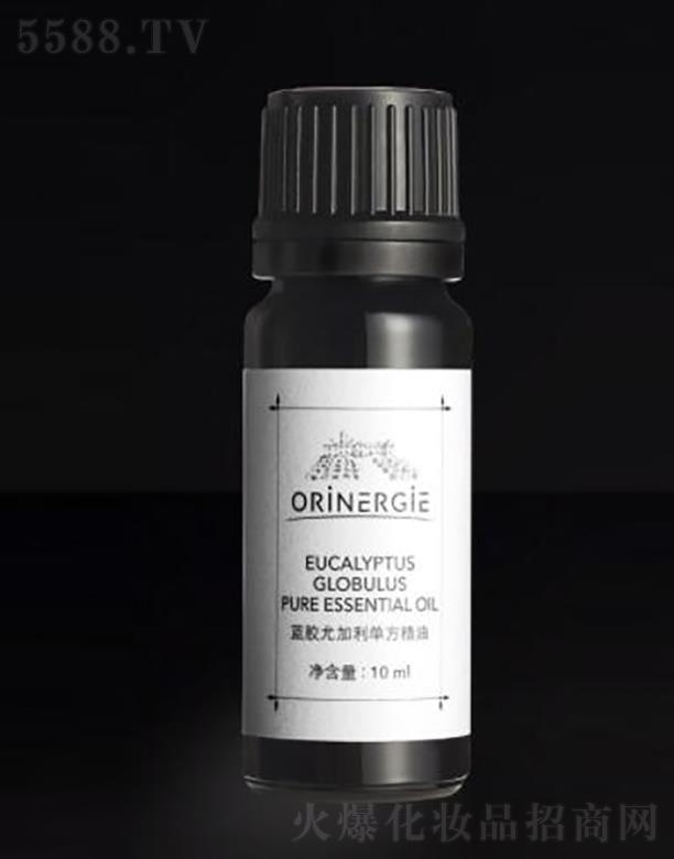 ɼڣݿƼ޹˾ORiNERGiEȼ