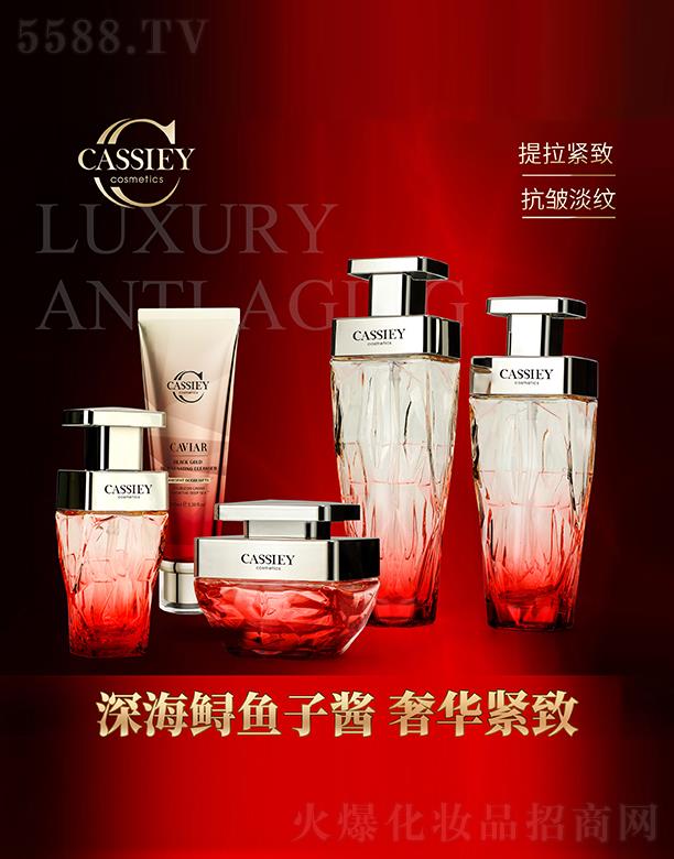 㶫˿ȨͶʼ޹˾CASSIEYӽڽװ