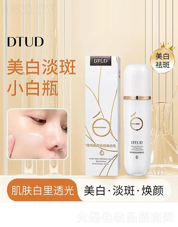 ƷƼչ޹˾DTUD鴿
