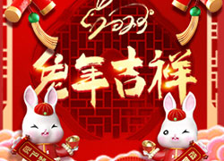 玉兔送福，开门大吉！广东微肽给您拜年了！