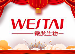 金龙送福，开门大吉！广州微肽给您拜年了！