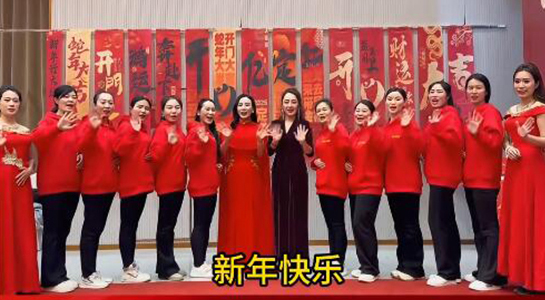 蛇年好运至，幸福满人间！飞斯达祝您百事从欢，一路向阳！
