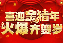 喜迎金猪年，火爆齐贺岁！