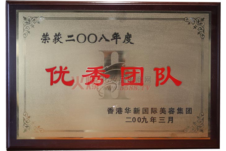 2008年度团队-香港华新国际美容集团有限公司