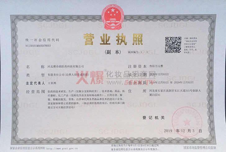 雅诗莉营业执照-河北雅诗莉医药科技有限公司