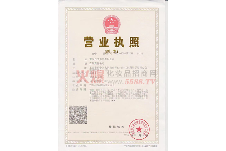 营业执照-重庆丹艾商贸有限公司