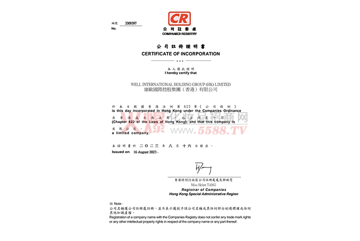 营业执照-维欧国际控股集团（香港）有限公司