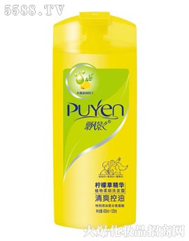 广东飘影集团有限公司