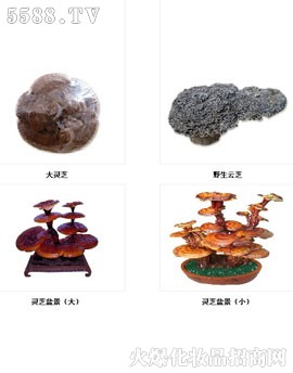 泰山四宝(组合)