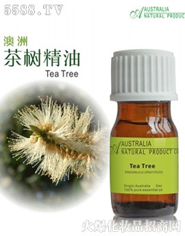 澳洲茶树单方精油