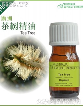澳洲茶树（有机）单方精油