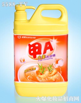 甲A生姜洗洁精 2kg