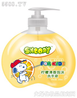 柠檬清香泡沫洗手液-250ml