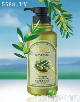 橄榄椰油洗发乳