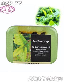 茶树泰国皂