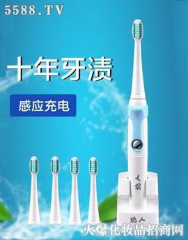 DR-1电动牙刷