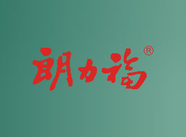 朗力福集团控股有限公司