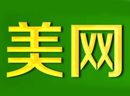 广州美网咨询顾问有限公司