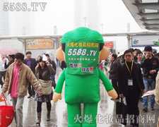 火爆网坚强的背后就是强大的团队