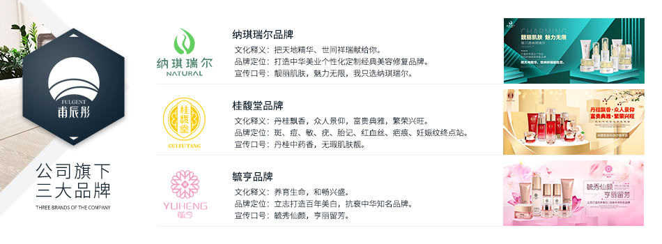 惠州市甫辰彤商貿有限公司