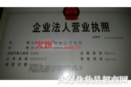 丹诺思-营业执照-杭州丹诺思化妆品有限公司